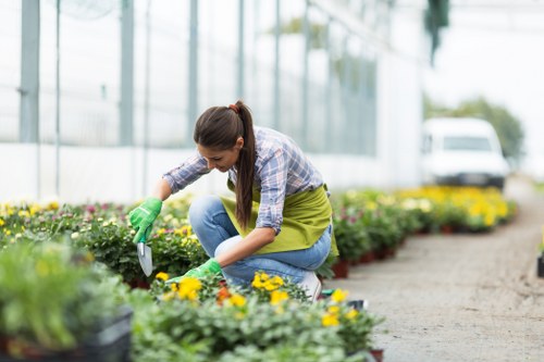 Crew member trimming a garden hedge