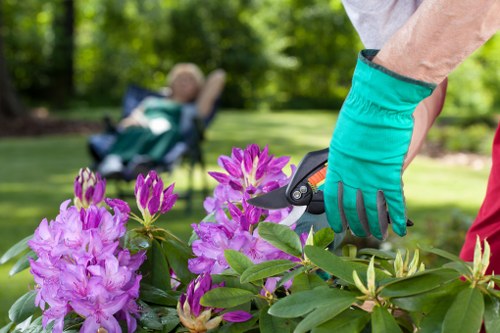 Garden clearance and chipping equipment in a London backyard