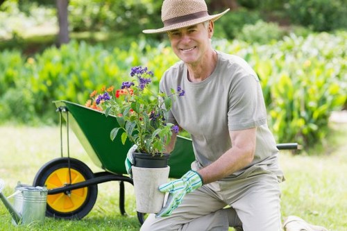 A gardener kneeling on a well-maintained lawn in a residential outdoor space within Regents Park, holding a potted flowering plant with purple and red blooms. The garden features a neatly trimmed hedge in the background, along with a paved pathway and a wheelbarrow with a yellow wheel parked nearby. The gardener is dressed in light grey work clothing, a broad-brimmed hat, and gardening gloves, appearing to be preparing for planting or garden maintenance on a bright, sunny day. The scene highlights the lush greenery, tidy garden layout, and natural tones of the plants and soil, with some dappled sunlight filtering through the trees, creating a vibrant yet peaceful outdoor environment. This setting exemplifies professional gardening and lawn care services suitable for residential outdoor spaces in the Regents Park area, provided by Hedge Trimming Regents Park.