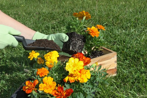 A gardener wearing light green gloves is planting a flowering plant into a rectangular wooden planter box on a well-maintained grassy lawn. The flowers in the box display bright yellow, orange, and red blooms, contrasting with the dark, moist soil being added with a small black shovel. The outdoor space appears to be a landscaped garden area with lush green grass and a gentle natural light suggesting a clear day, suitable for gardening services in Regents Park. The scene exemplifies careful planting and outdoor maintenance work, highlighting common elements such as soil preparation, flowering plants, and the use of garden tools, all aligned with professional gardening and landscaping in the local area.
